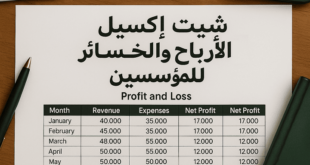 نموذج الأرباح والخسائر للمؤسسين
