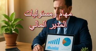 مهام ومسئوليات المدير المالي في الشركات
