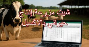 شيت مزرعة إنتاج حيواني بالاكسيل