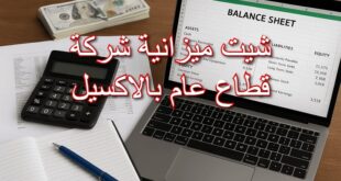 شيت ميزانية شركة قطاع عام بالاكسيل