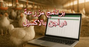 برنامج مزرعة دواجن بالاكسيل