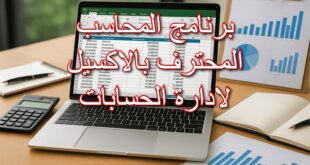 برنامج المحاسب المحترف بالاكسيل لادارة الحسابات
